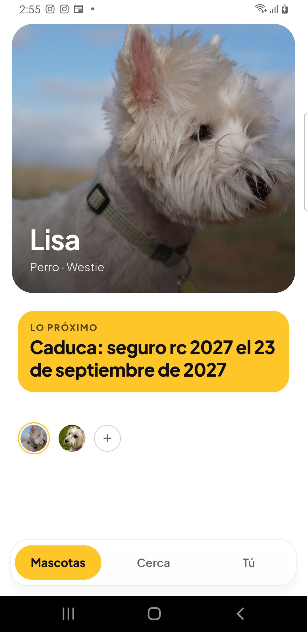 Pantalla real de Trufa en Android: Lisa y la próxima caducidad de su seguro.